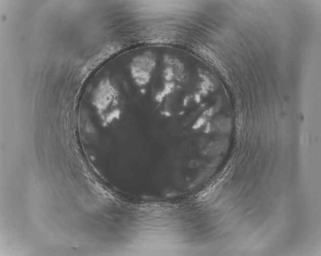 X0000088590721200706151735