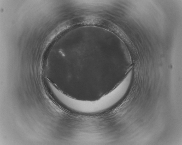 X0000088590722200706151735