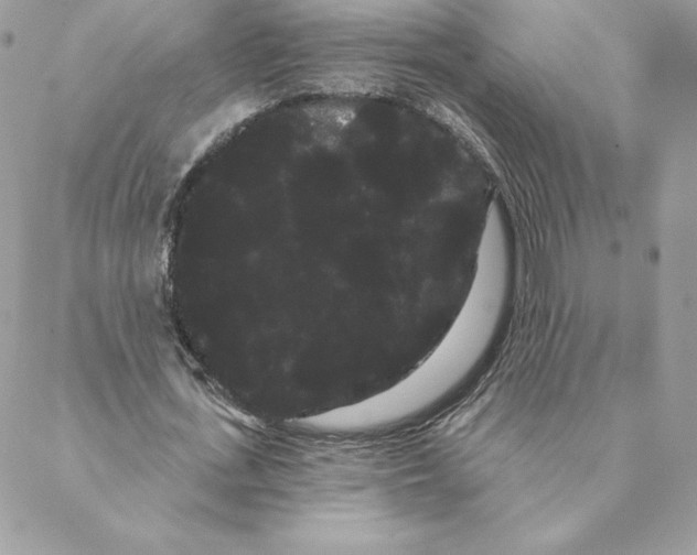 X0000088590723200706151735