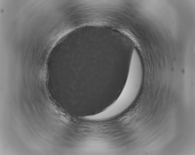 X0000088590724200706151735