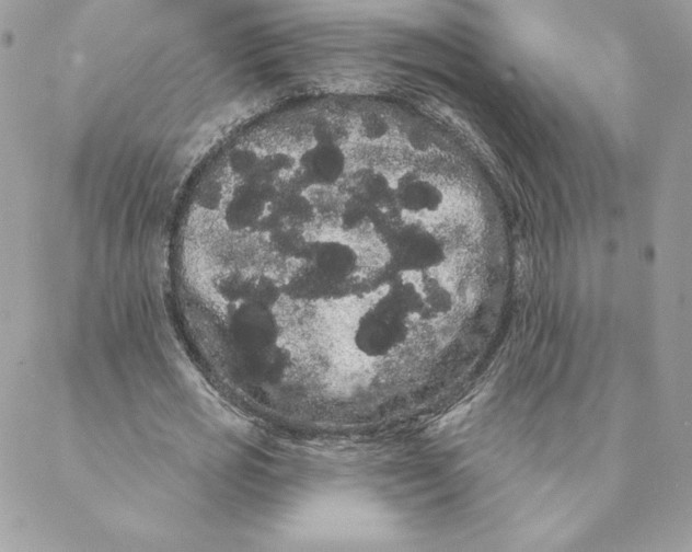 X0000088590725200706151735