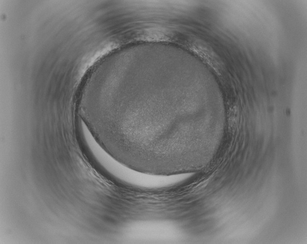 X0000088590727200706151736