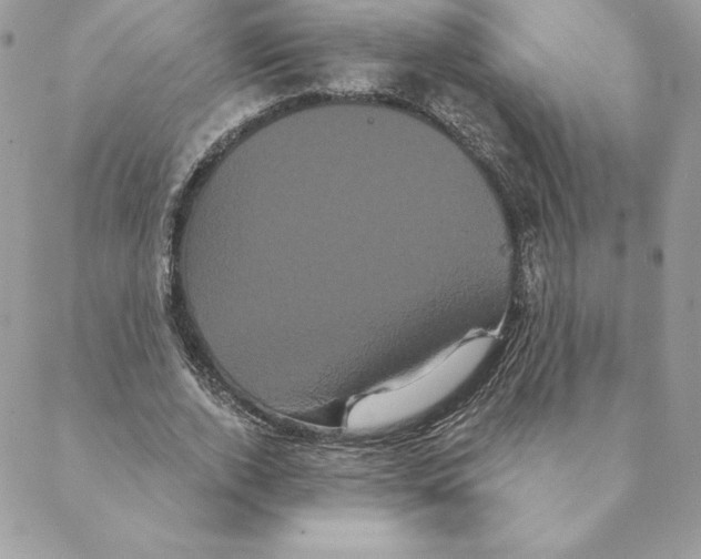 X0000088590728200706151736