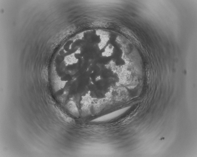 X0000088590729200706151736