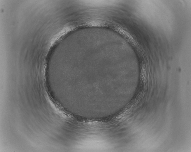 X0000088590730200706151736