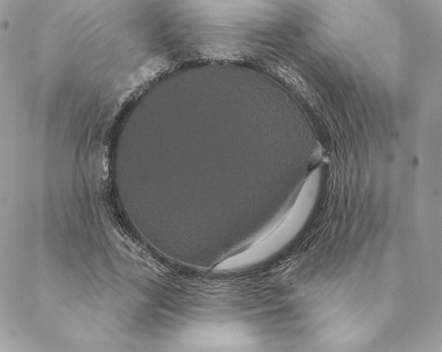 X0000088590731200706151736