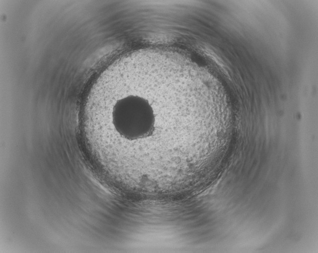 X0000088590733200706151736