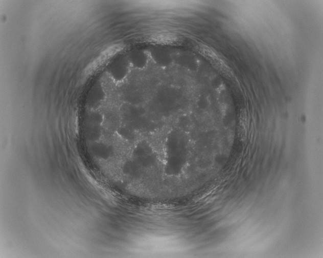 X0000088590734200706151736