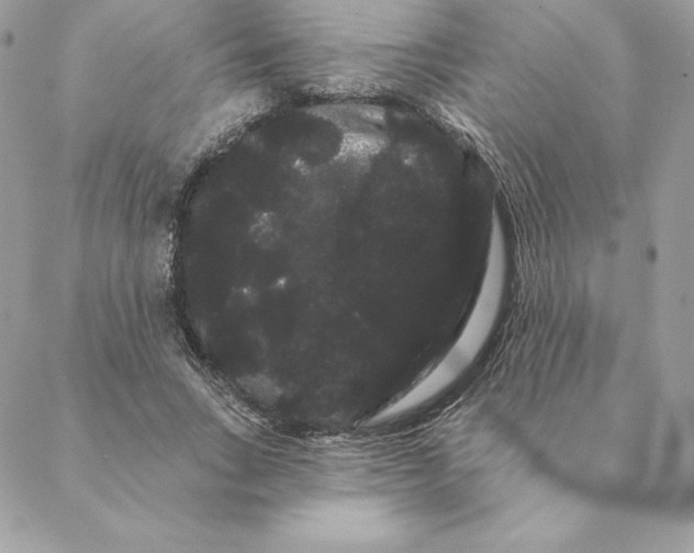 X0000088590735200706151736