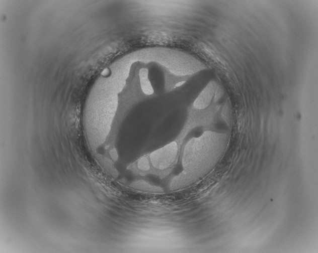 X0000088590737200706151736