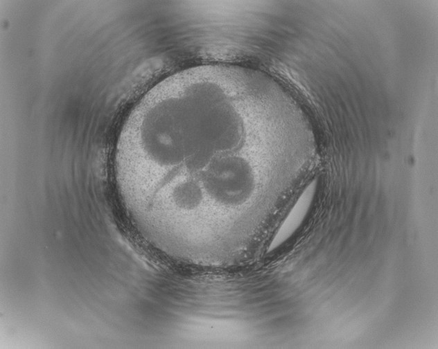 X0000088590738200706151736