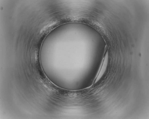 X0000088590740200706151736