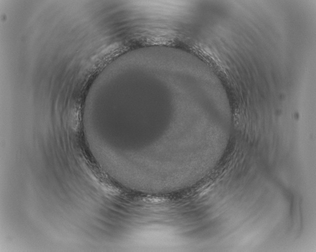 X0000088590741200706151736