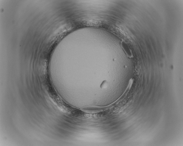 X0000088590744200706151736