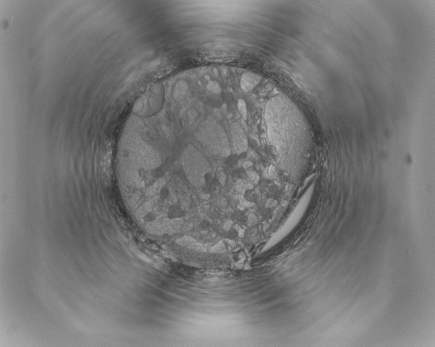 X0000088590745200706151736