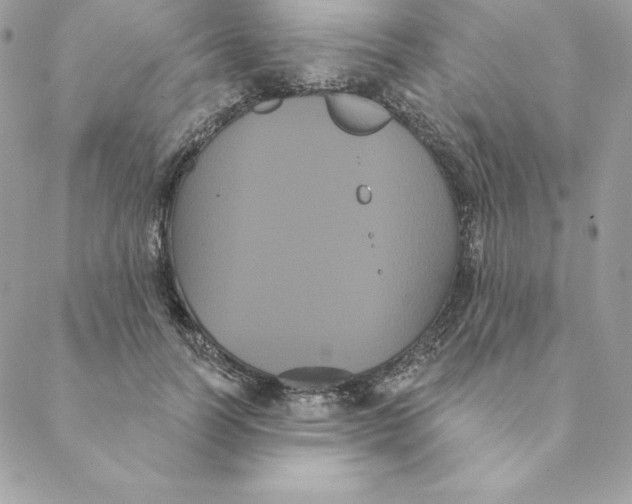 X0000088590746200706151736