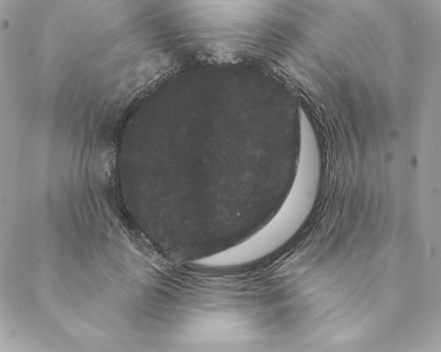 X0000088590747200706151736