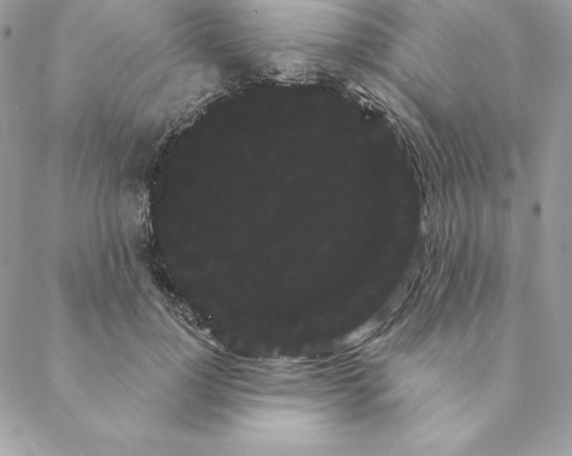 X0000088590748200706151736