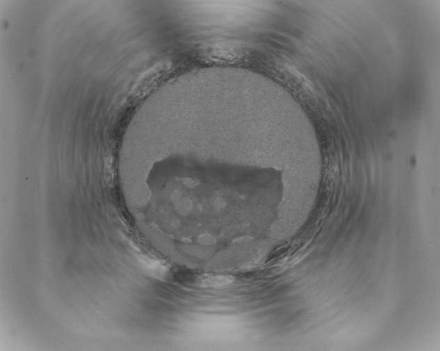 X0000088590749200706151736