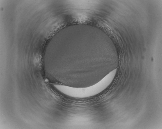 X0000088590750200706151736