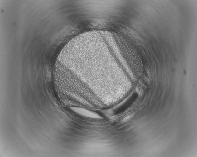 X0000088590751200706151736