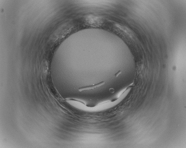 X0000088590752200706151736