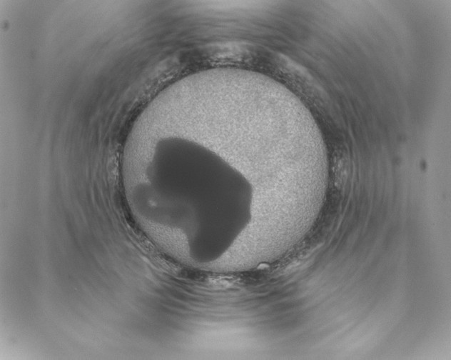 X0000088590753200706151736