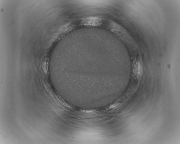 X0000088590755200706151736