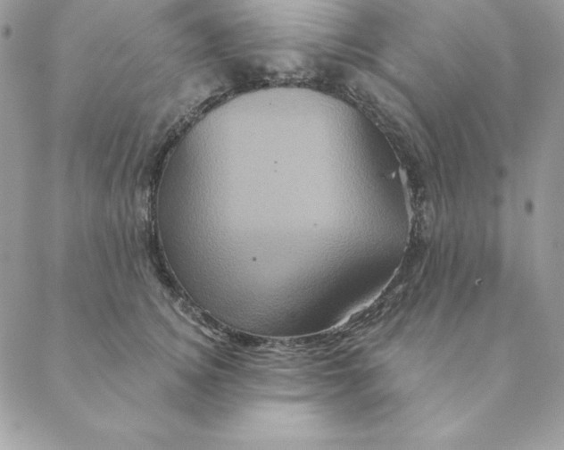 X0000088590756200706151736