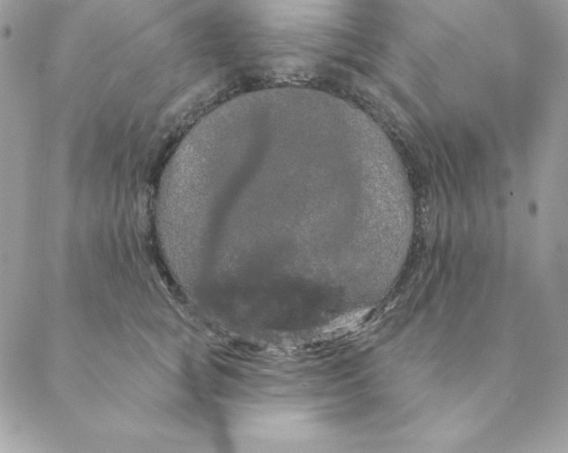 X0000088590757200706151736