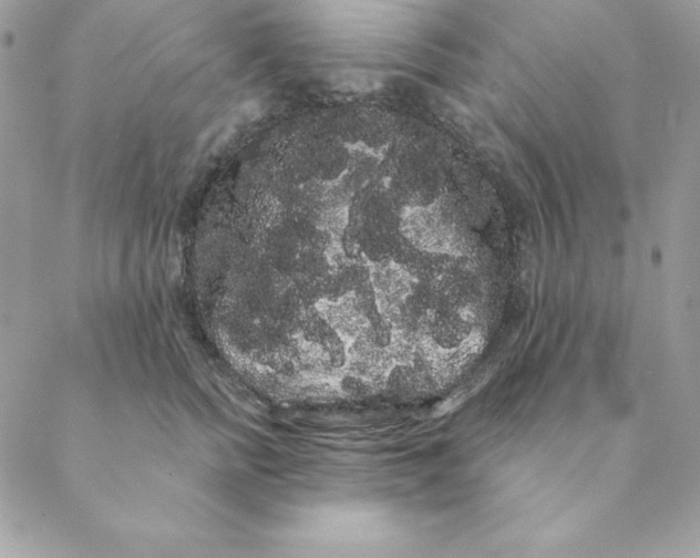 X0000088590758200706151736