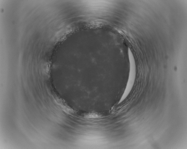 X0000088590759200706151736