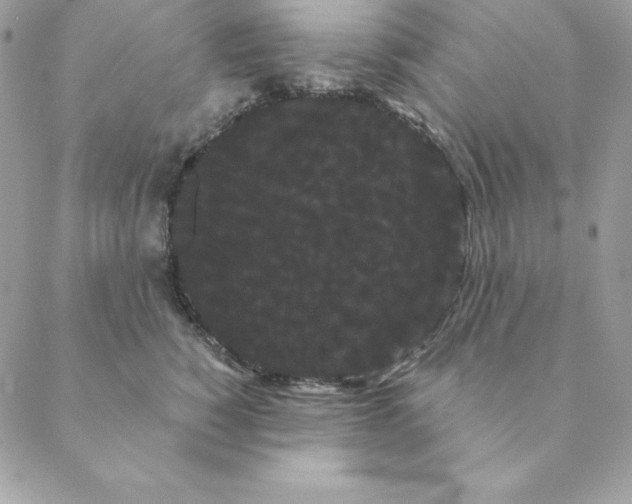 X0000088590760200706151736