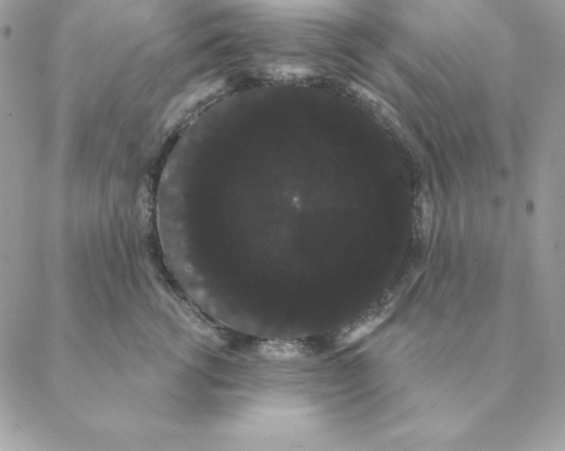 X0000088590762200706151736