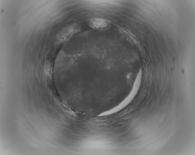 X0000088590763200706151736