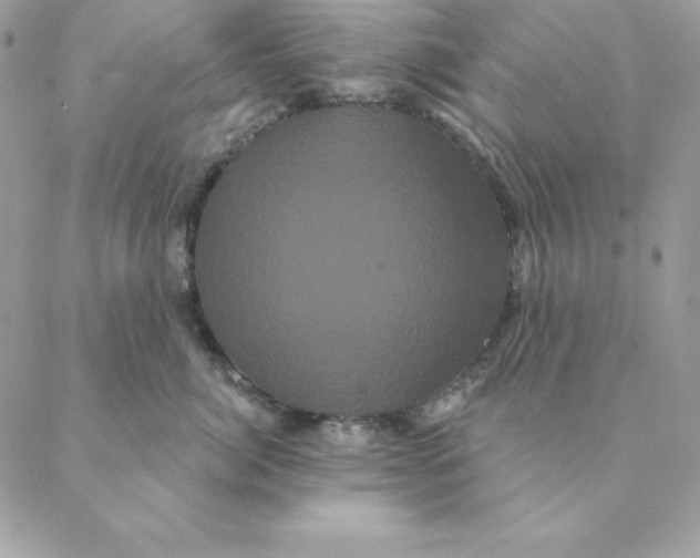 X0000088590764200706151736