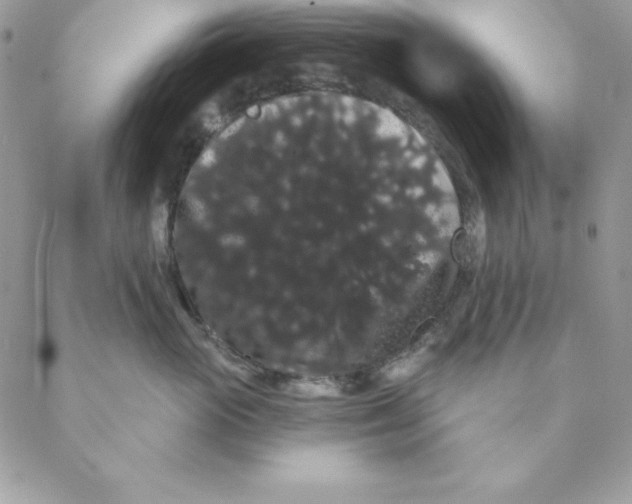 X0000088590765200706151736