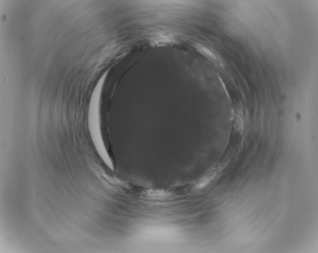 X0000088590766200706151736