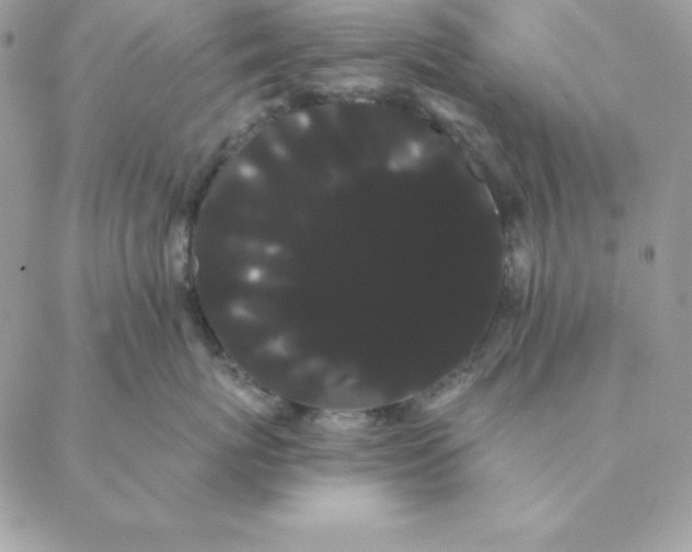 X0000088590767200706151736