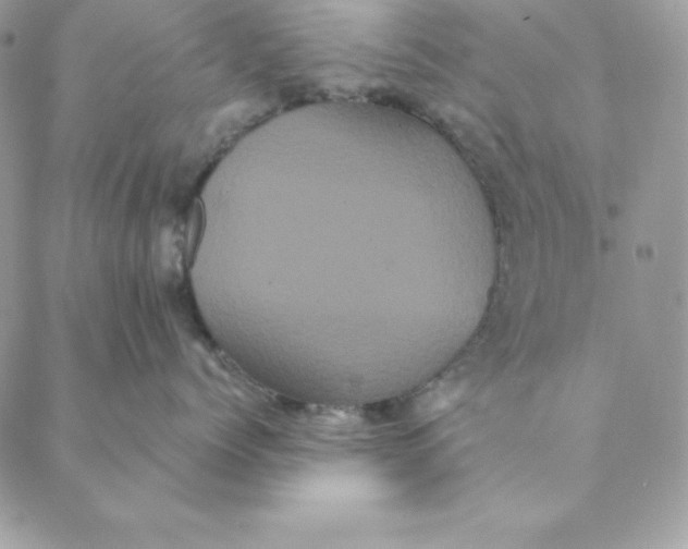 X0000088590768200706151736