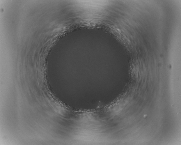 X0000088590769200706151735