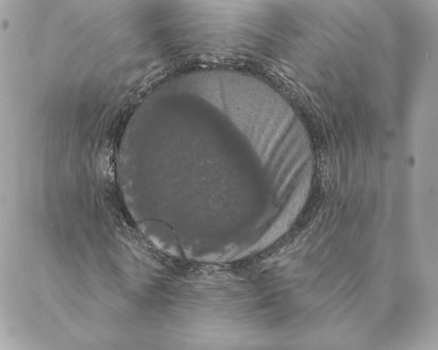 X0000088590770200706151735