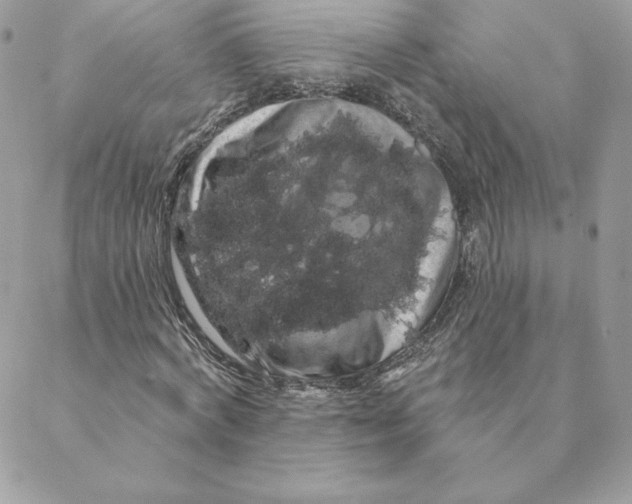 X0000088590772200706151735