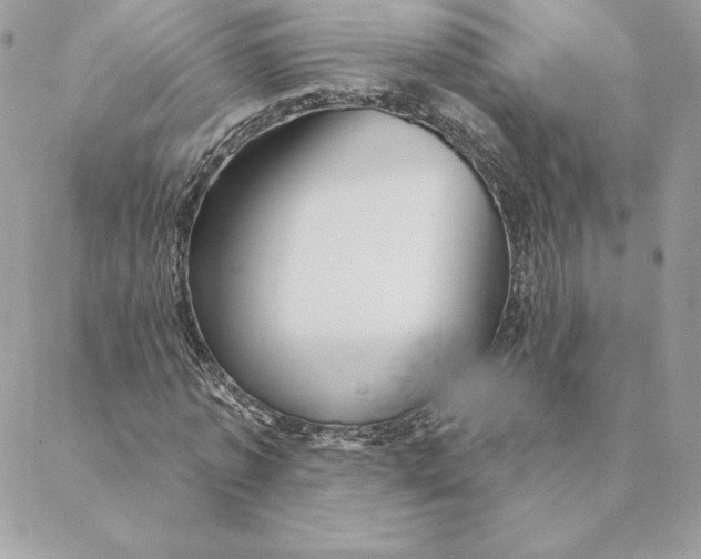 X0000088590773200706151735