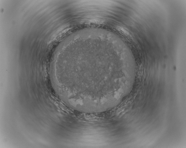 X0000088590774200706151735