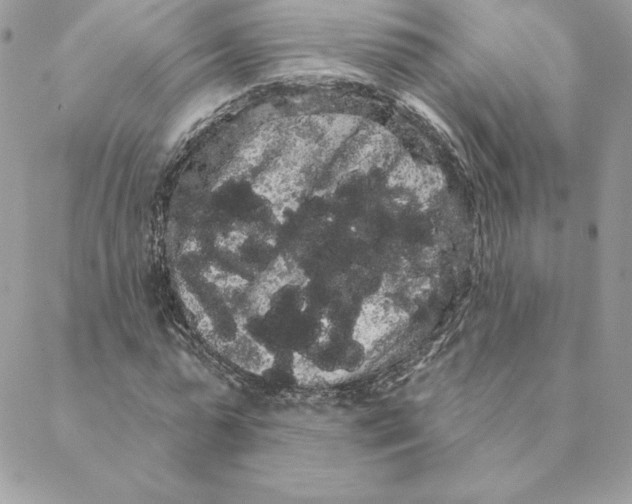 X0000088590775200706151735