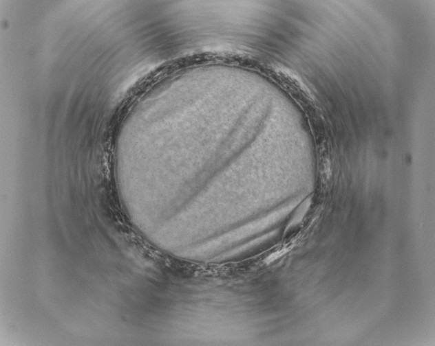 X0000088590776200706151735