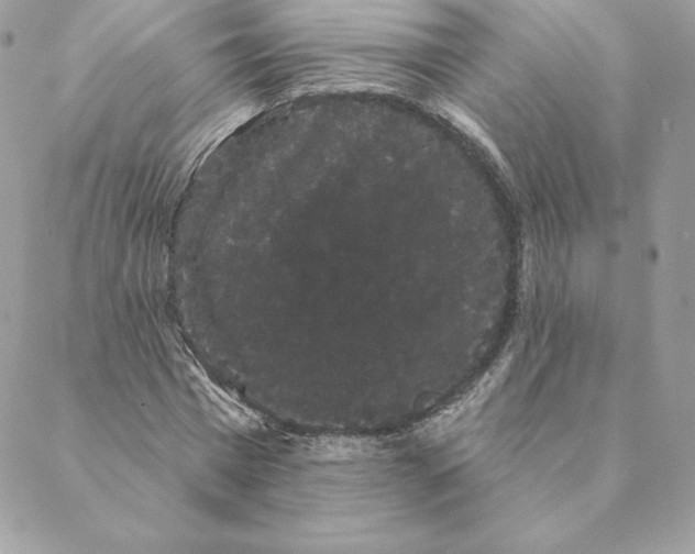 X0000088590777200706151735