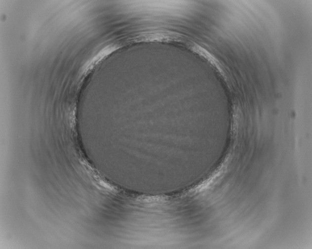 X0000088590778200706151735