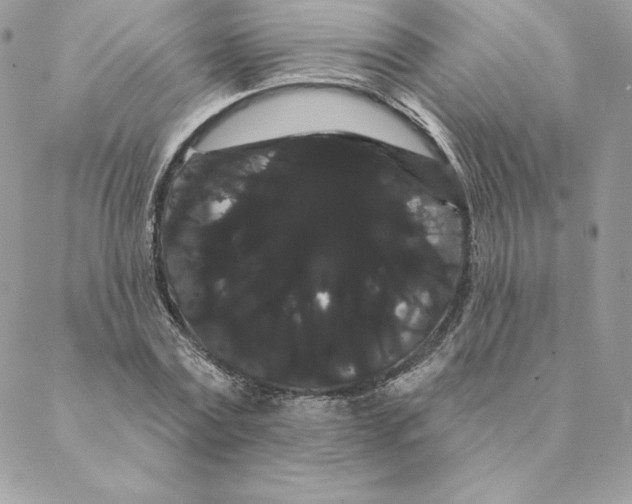 X0000088590779200706151735